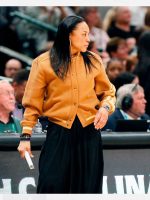 Louis Vuitton Dawn Staley Brown Jacket